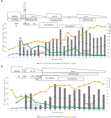 Successful treatment of peritoneal dialysis for two patients with refractory nephrotic syndrome and acute kidney injury: a case report